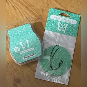 Scentsy wax melt and scentsy circle Blooming Marvelous scent